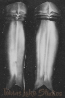 1073 - Medieval Greaves