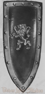 1129 - Medieval Shield (18" x 40")