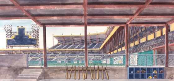 546 - Ball Park Drop
